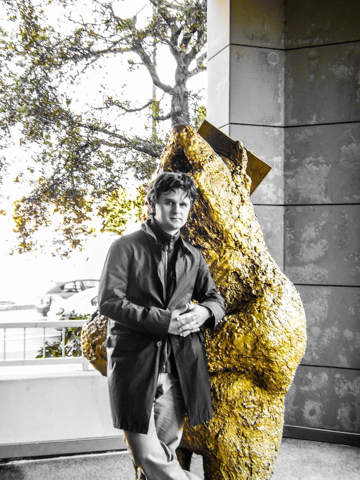 common.galleryImageAlt