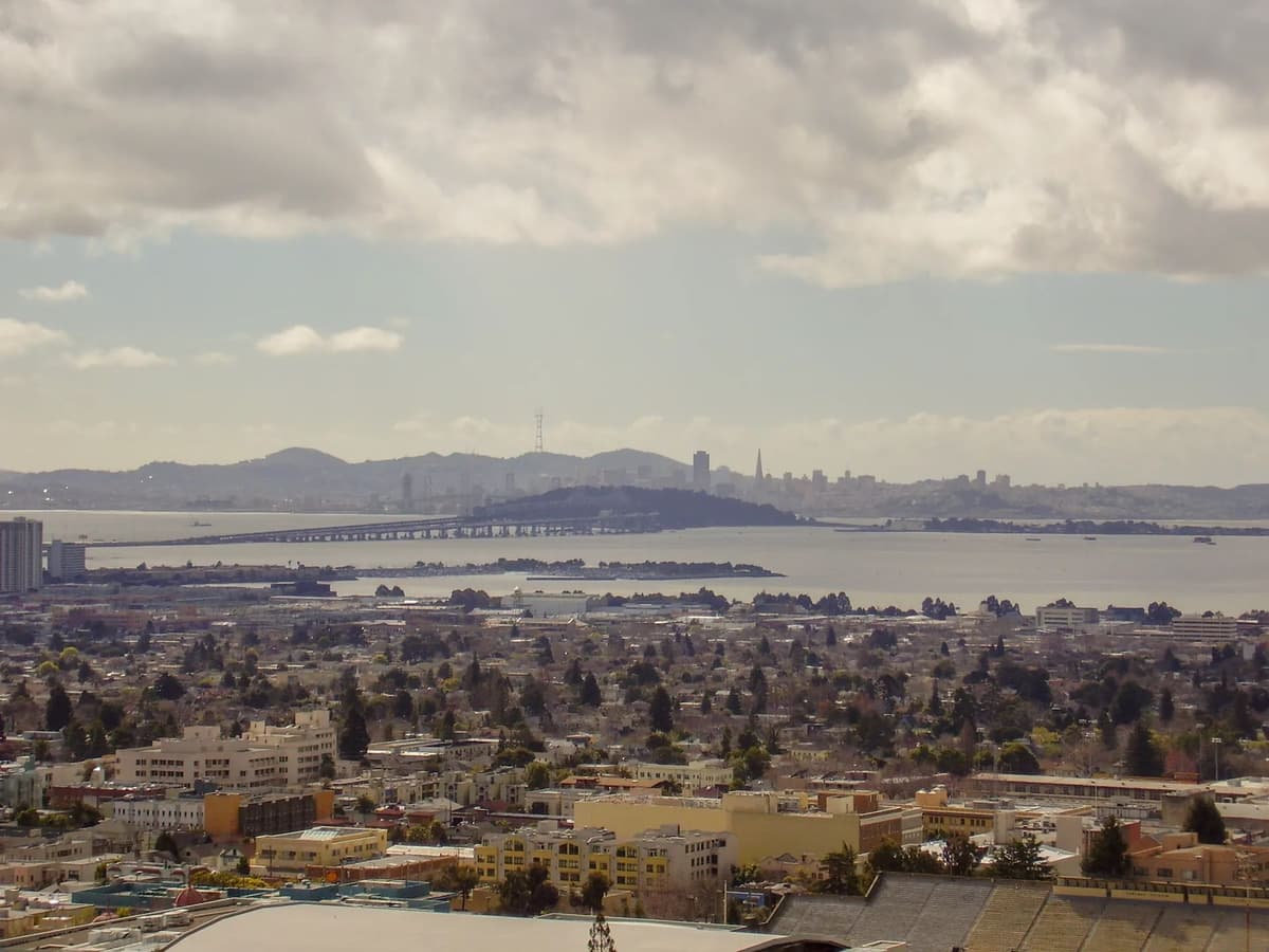 common.galleryImageAlt