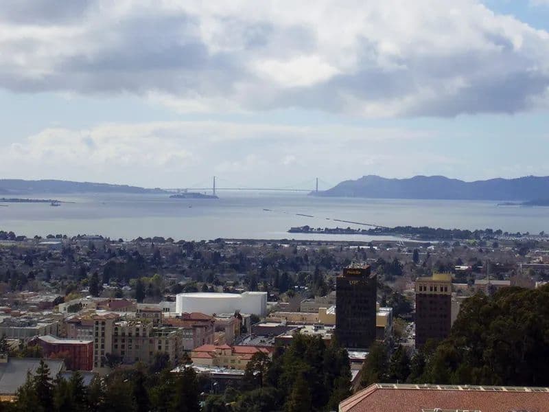 common.galleryImageAlt